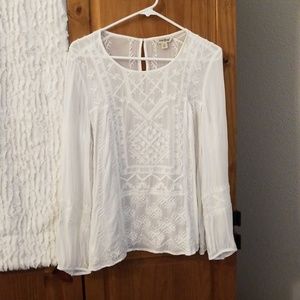 Beautiful sheer blouse with embroidered detail